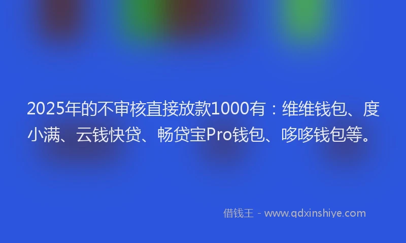 2025年的不审核直接放款1000有：维维钱包、度小满、云钱快贷、畅贷宝Pro钱包、哆哆钱包等。