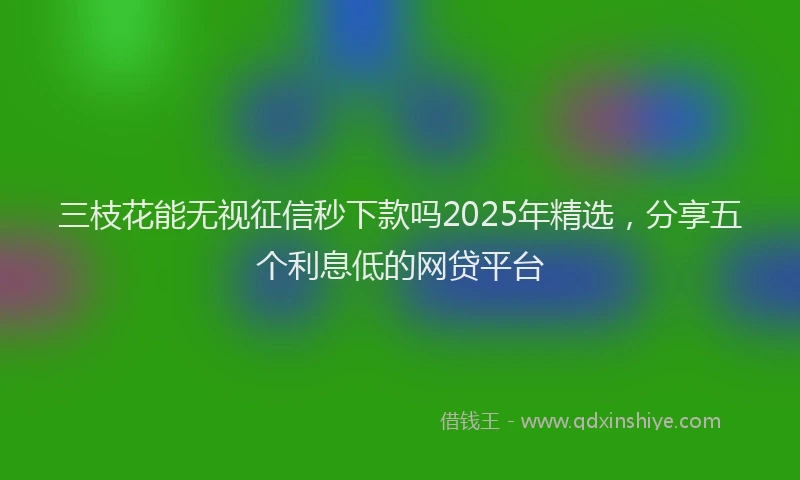 三枝花能无视征信秒下款吗2025年精选，分享五个利息低的网贷平台