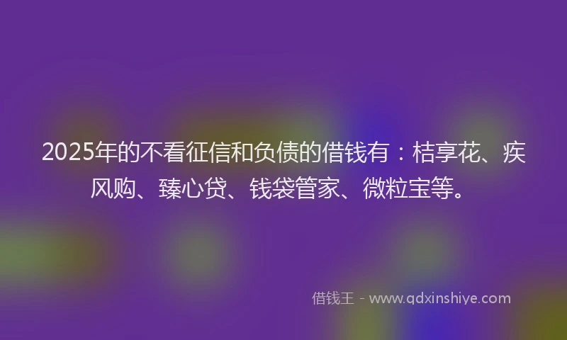 2025年的不看征信和负债的借钱有：桔享花、疾风购、臻心贷、钱袋管家、微粒宝等。