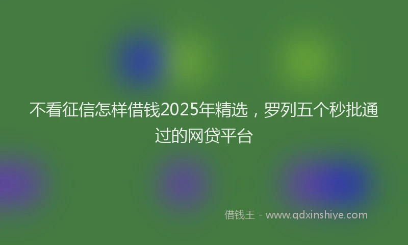 不看征信怎样借钱2025年精选，罗列五个秒批通过的网贷平台