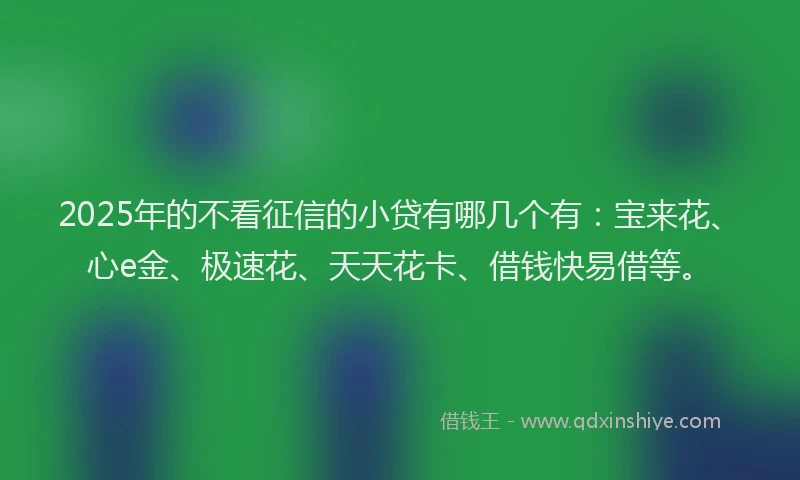 2025年的不看征信的小贷有哪几个有：宝来花、心e金、极速花、天天花卡、借钱快易借等。