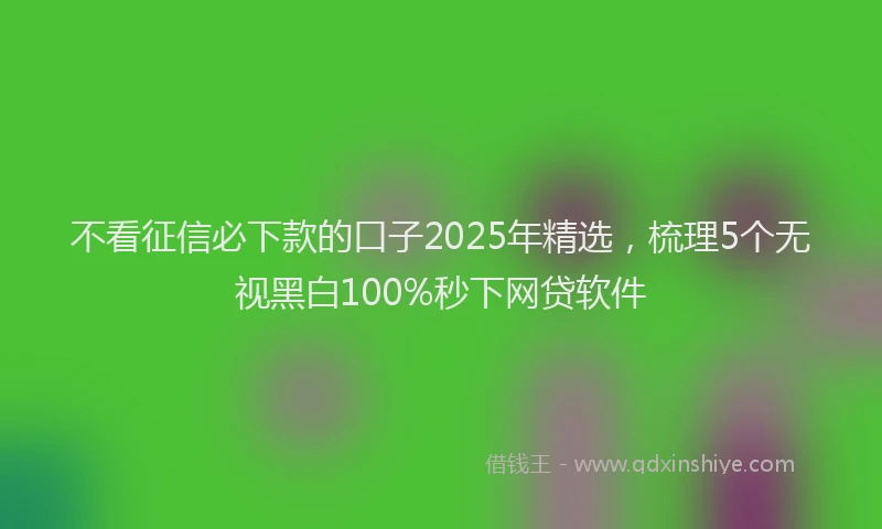 不看征信必下款的口子2025年精选，梳理5个无视黑白100%秒下网贷软件