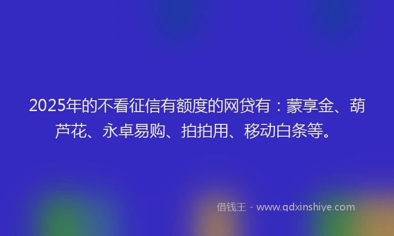 2025年的不看征信有额度的网贷有：蒙享金、葫芦花、永卓易购、拍拍用、移动白条等。