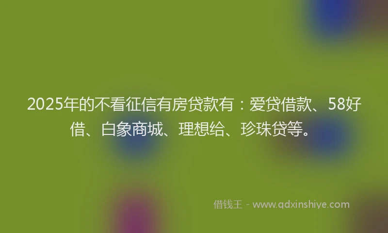 2025年的不看征信有房贷款有：爱贷借款、58好借、白象商城、理想给、珍珠贷等。