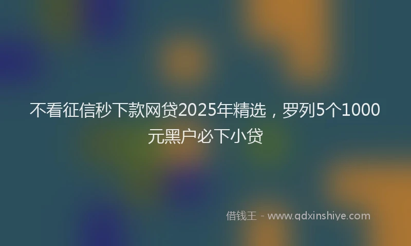 不看征信秒下款网贷2025年精选，罗列5个1000元黑户必下小贷