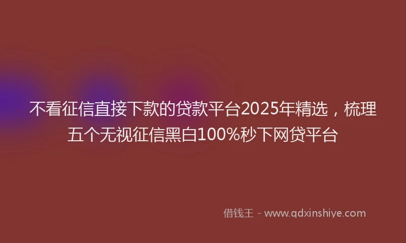 不看征信直接下款的贷款平台2025年精选，梳理五个无视征信黑白100%秒下网贷平台