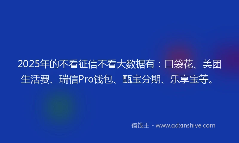 2025年的不看征信不看大数据有：口袋花、美团生活费、瑞信Pro钱包、甄宝分期、乐享宝等。