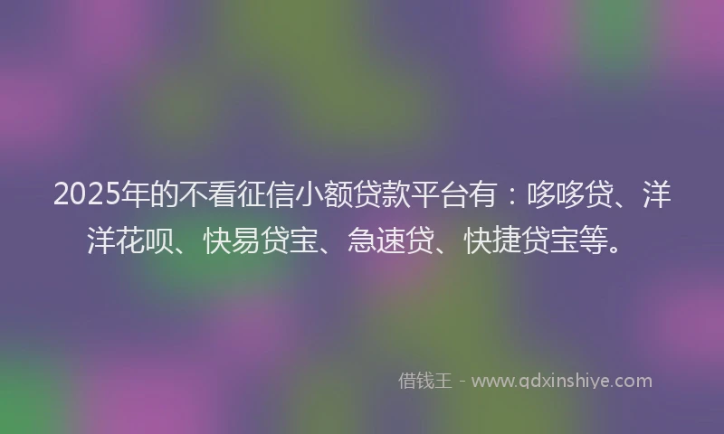 2025年的不看征信小额贷款平台有：哆哆贷、洋洋花呗、快易贷宝、急速贷、快捷贷宝等。