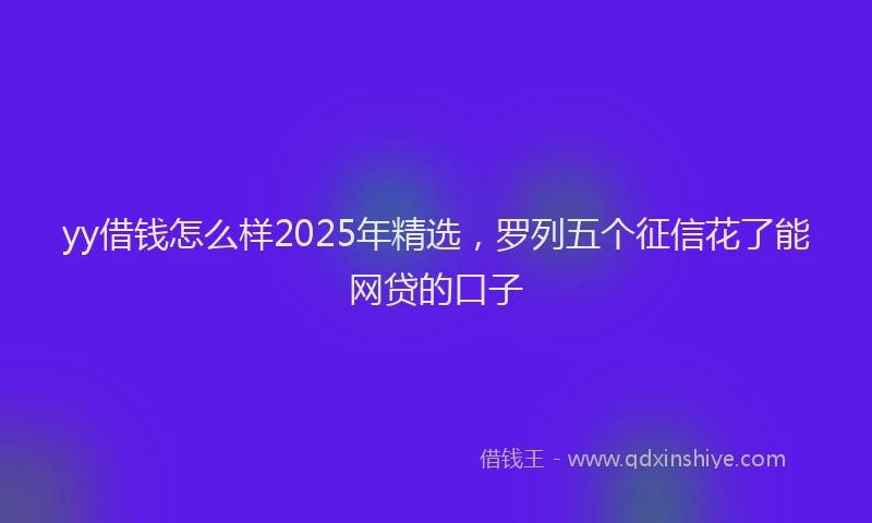 yy借钱怎么样2025年精选，罗列五个征信花了能网贷的口子