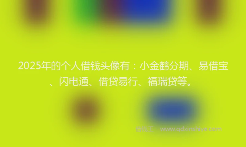 2025年的个人借钱头像有：小金鹤分期、易借宝、闪电通、借贷易行、福瑞贷等。