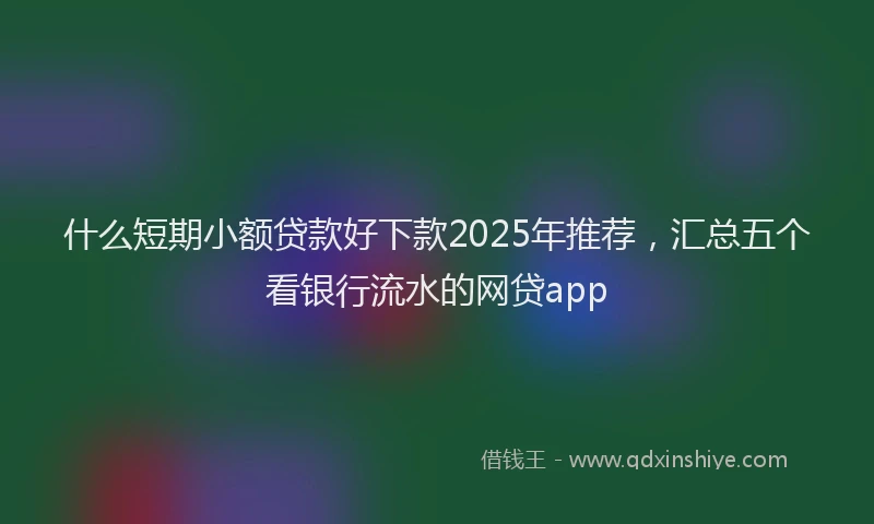什么短期小额贷款好下款2025年推荐，汇总五个看银行流水的网贷app