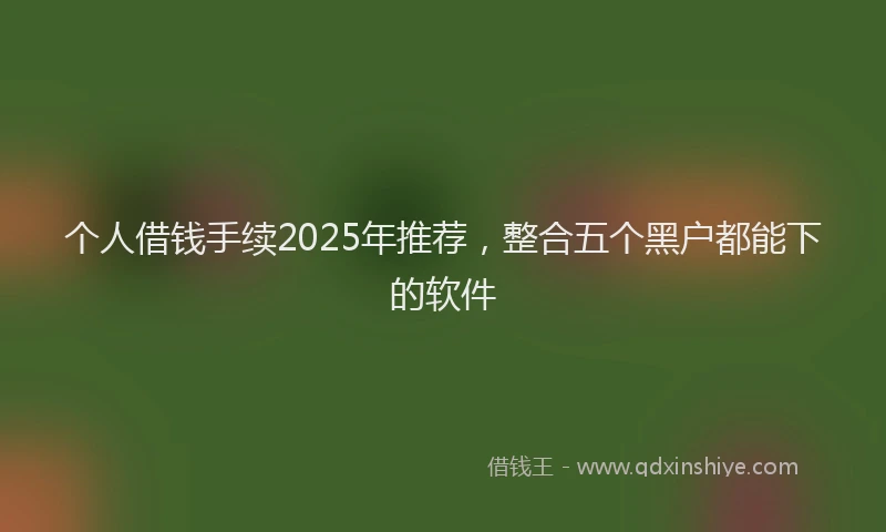 个人借钱手续2025年推荐，整合五个黑户都能下的软件
