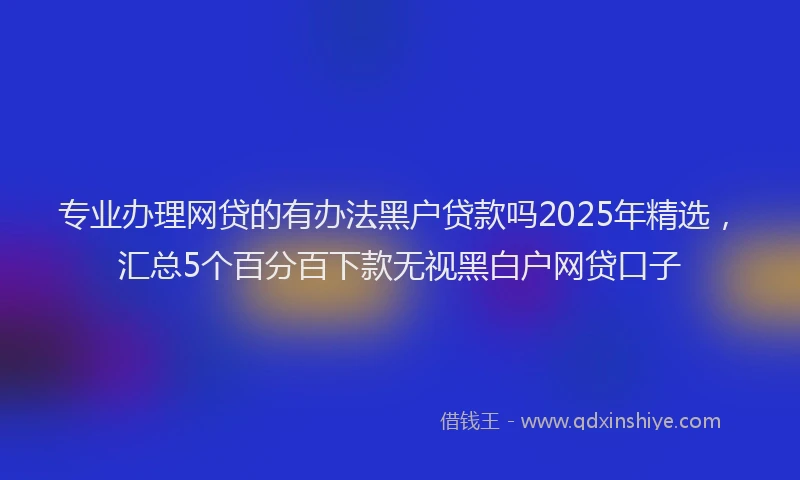 专业办理网贷的有办法黑户贷款吗2025年精选，汇总5个百分百下款无视黑白户网贷口子
