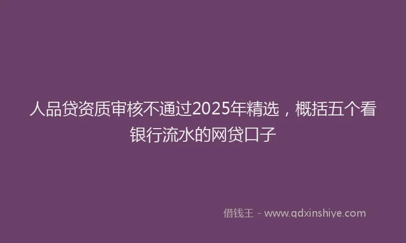 人品贷资质审核不通过2025年精选，概括五个看银行流水的网贷口子