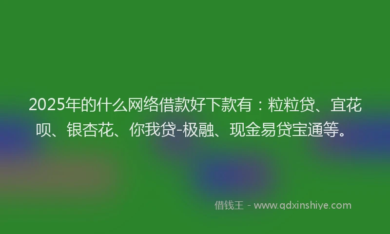 2025年的什么网络借款好下款有：粒粒贷、宜花呗、银杏花、你我贷-极融、现金易贷宝通等。