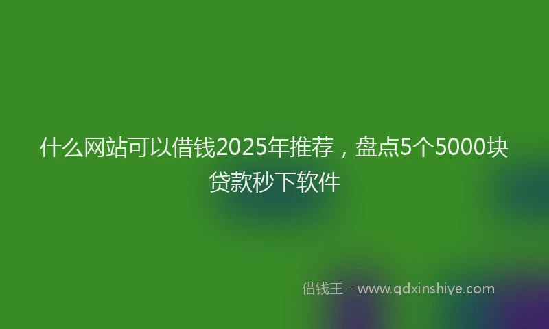 什么网站可以借钱2025年推荐，盘点5个5000块贷款秒下软件