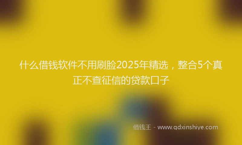 什么借钱软件不用刷脸2025年精选，整合5个真正不查征信的贷款口子