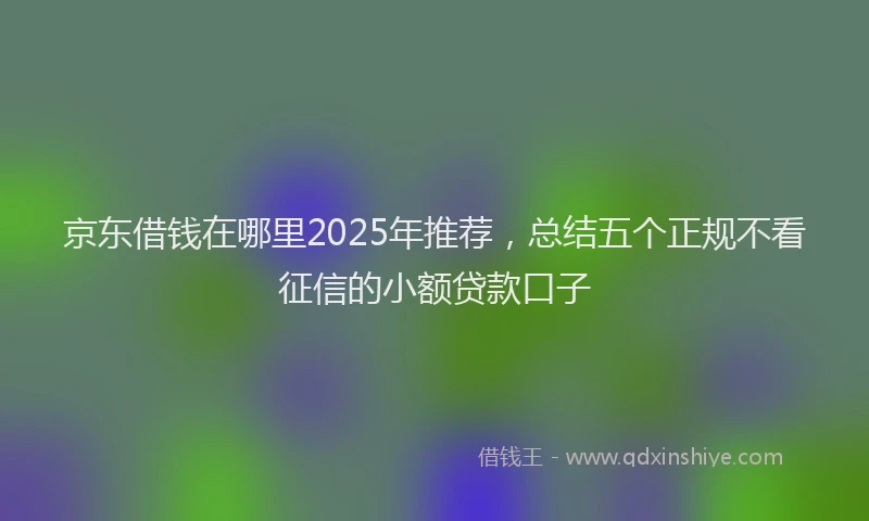 京东借钱在哪里2025年推荐，总结五个正规不看征信的小额贷款口子