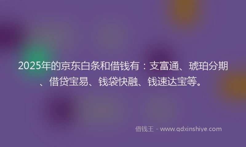 2025年的京东白条和借钱有：支富通、琥珀分期、借贷宝易、钱袋快融、钱速达宝等。