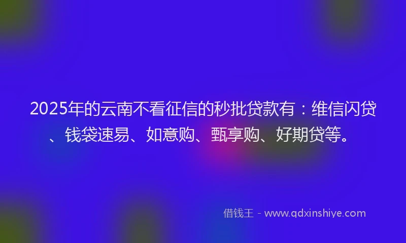 2025年的云南不看征信的秒批贷款有：维信闪贷、钱袋速易、如意购、甄享购、好期贷等。
