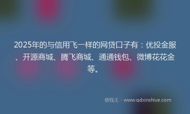 2025年的与信用飞一样的网贷口子有：优投金服、开源商城、腾飞商城、通通钱包、微博花花金等。