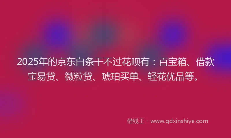 2025年的京东白条干不过花呗有：百宝箱、借款宝易贷、微粒贷、琥珀买单、轻花优品等。