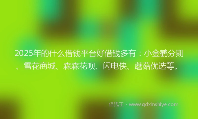 2025年的什么借钱平台好借钱多有：小金鹤分期、雪花商城、森森花呗、闪电侠、蘑菇优选等。