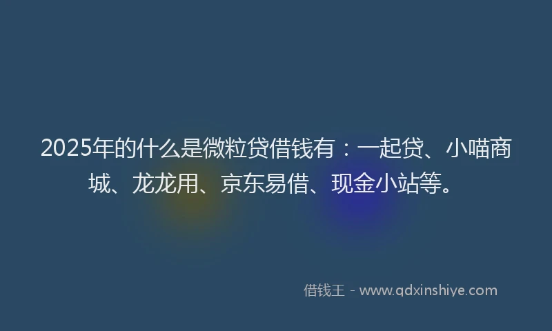 2025年的什么是微粒贷借钱有：一起贷、小喵商城、龙龙用、京东易借、现金小站等。