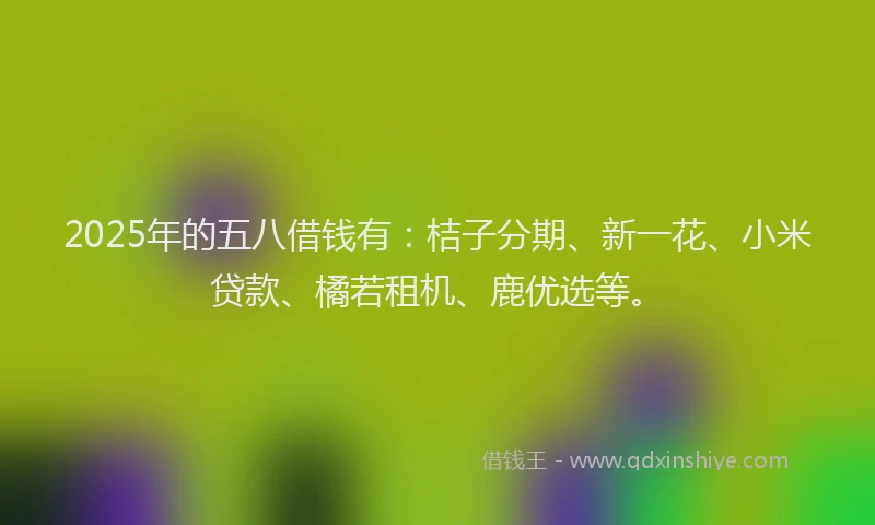 2025年的五八借钱有：桔子分期、新一花、小米贷款、橘若租机、鹿优选等。
