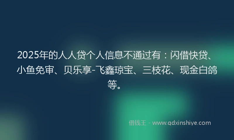 2025年的人人贷个人信息不通过有：闪借快贷、小鱼免审、贝乐享-飞鑫琼宝、三枝花、现金白鸽等。