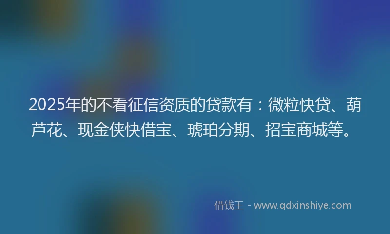2025年的不看征信资质的贷款有：微粒快贷、葫芦花、现金侠快借宝、琥珀分期、招宝商城等。