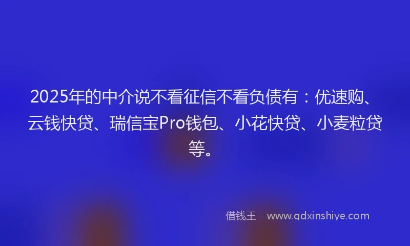 2025年的中介说不看征信不看负债有：优速购、云钱快贷、瑞信宝Pro钱包、小花快贷、小麦粒贷等。