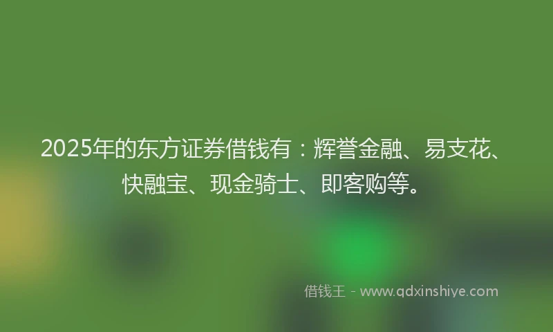 2025年的东方证券借钱有：辉誉金融、易支花、快融宝、现金骑士、即客购等。