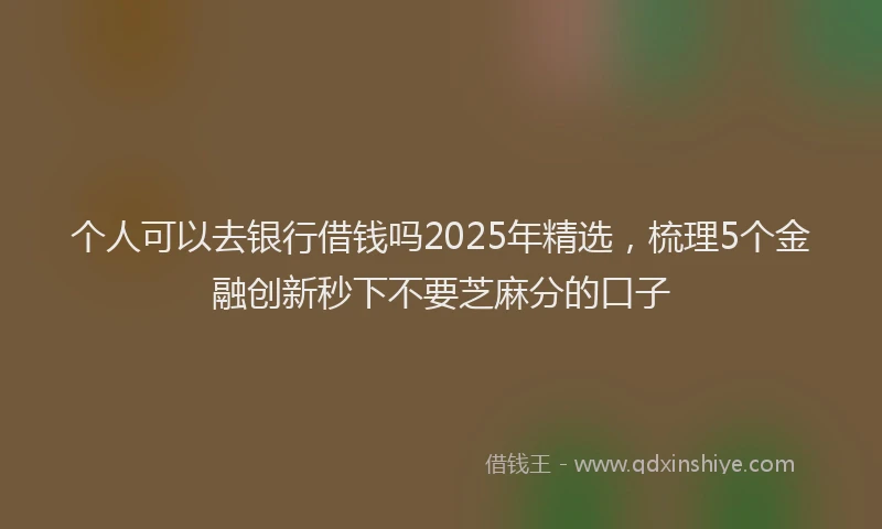 个人可以去银行借钱吗2025年精选，梳理5个金融创新秒下不要芝麻分的口子