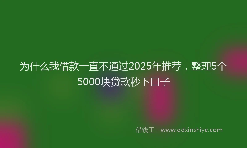 为什么我借款一直不通过2025年推荐，整理5个5000块贷款秒下口子