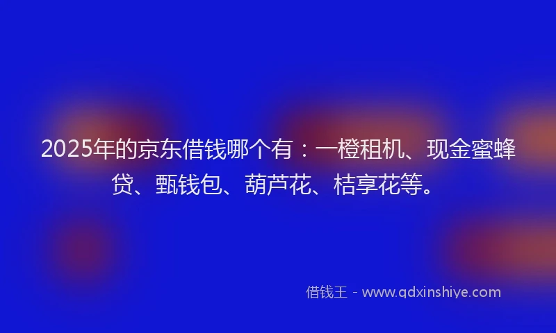 2025年的京东借钱哪个有：一橙租机、现金蜜蜂贷、甄钱包、葫芦花、桔享花等。