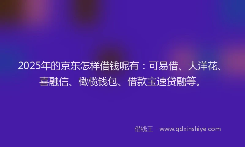 2025年的京东怎样借钱呢有：可易借、大洋花、喜融信、橄榄钱包、借款宝速贷融等。