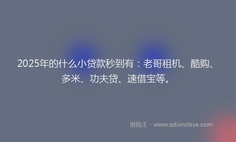 2025年的什么小贷款秒到有：老哥租机、酷购、多米、功夫贷、速借宝等。