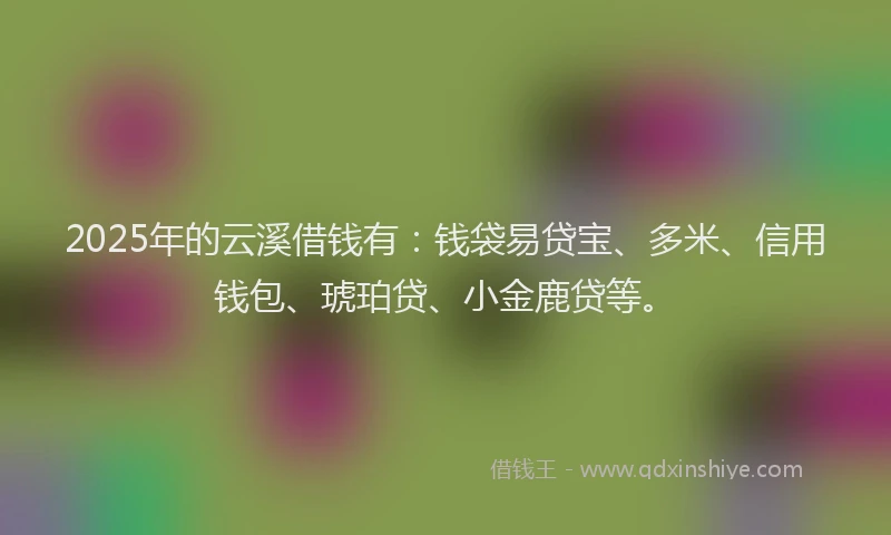 2025年的云溪借钱有：钱袋易贷宝、多米、信用钱包、琥珀贷、小金鹿贷等。