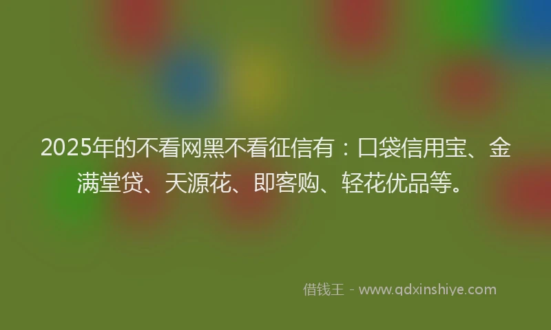 2025年的不看网黑不看征信有：口袋信用宝、金满堂贷、天源花、即客购、轻花优品等。