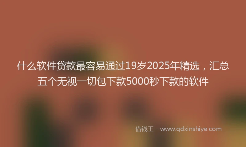 什么软件贷款最容易通过19岁2025年精选，汇总五个无视一切包下款5000秒下款的软件