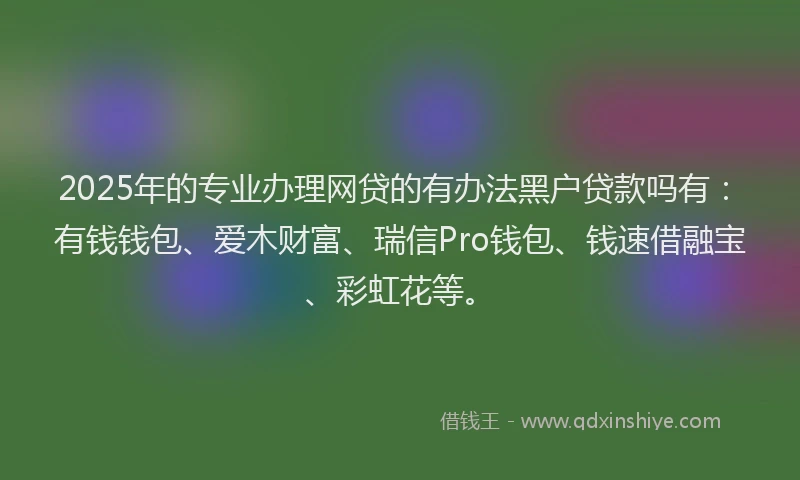 2025年的专业办理网贷的有办法黑户贷款吗有：有钱钱包、爱木财富、瑞信Pro钱包、钱速借融宝、彩虹花等。