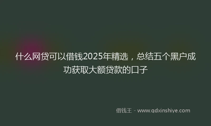 什么网贷可以借钱2025年精选，总结五个黑户成功获取大额贷款的口子