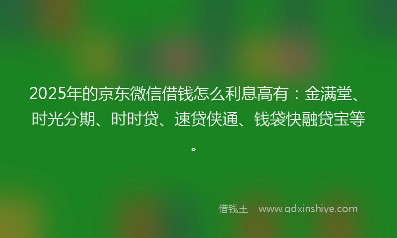 2025年的京东微信借钱怎么利息高有：金满堂、时光分期、时时贷、速贷侠通、钱袋快融贷宝等。