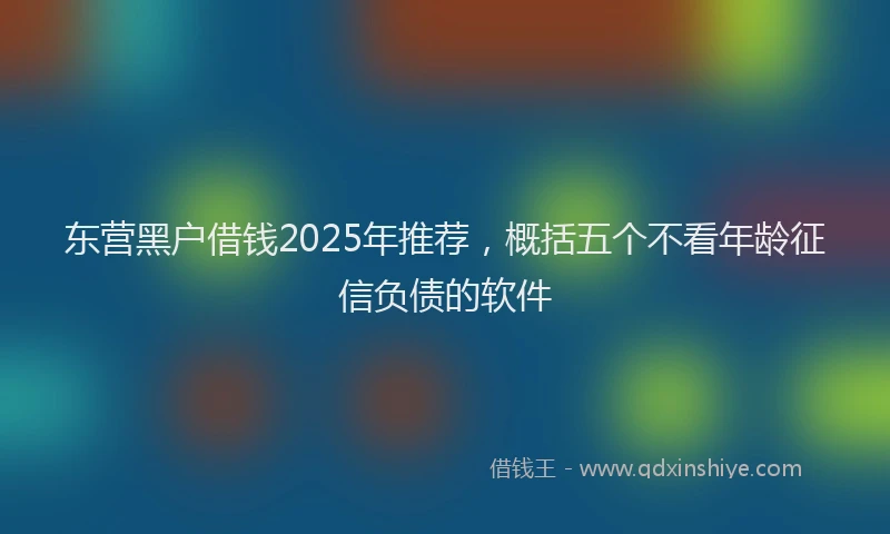 东营黑户借钱2025年推荐，概括五个不看年龄征信负债的软件