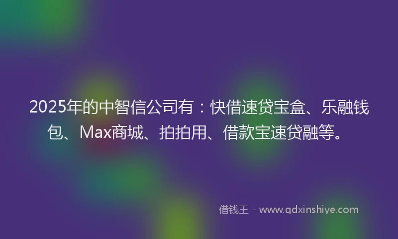 2025年的中智信公司有：快借速贷宝盒、乐融钱包、Max商城、拍拍用、借款宝速贷融等。