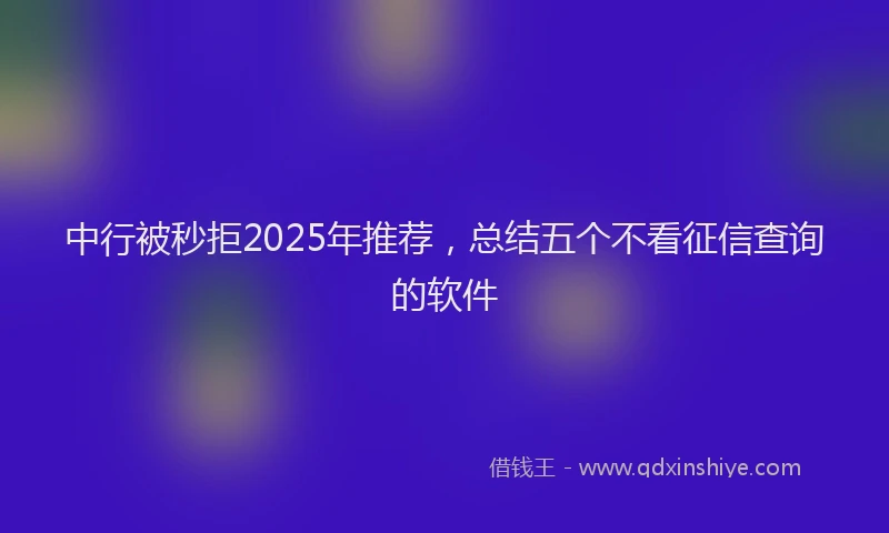 中行被秒拒2025年推荐，总结五个不看征信查询的软件