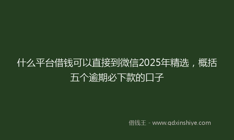 什么平台借钱可以直接到微信2025年精选，概括五个逾期必下款的口子
