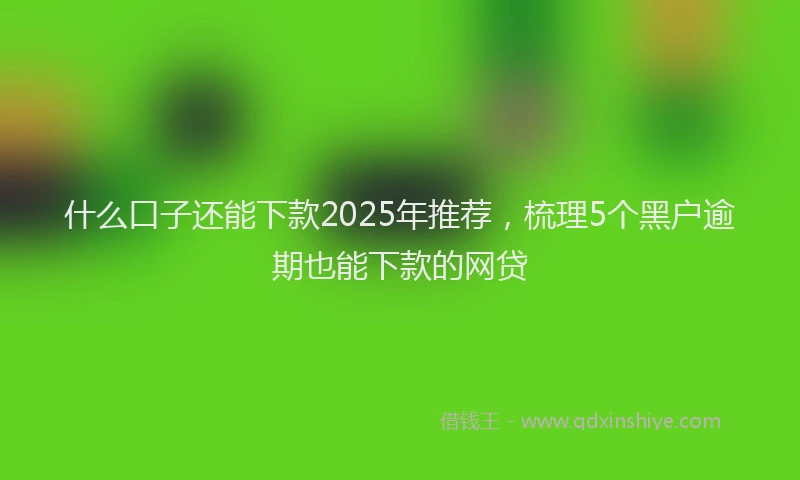什么口子还能下款2025年推荐，梳理5个黑户逾期也能下款的网贷