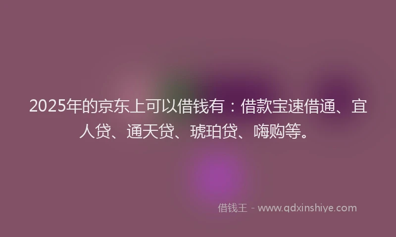 2025年的京东上可以借钱有：借款宝速借通、宜人贷、通天贷、琥珀贷、嗨购等。